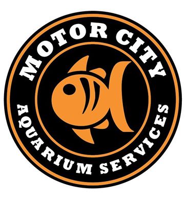 MotorCity LOGO